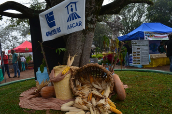 Foto - 3ª Mostra da Agrobiodiversidade