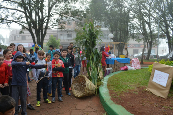 Foto - 3ª Mostra da Agrobiodiversidade