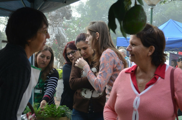 Foto - 3ª Mostra da Agrobiodiversidade