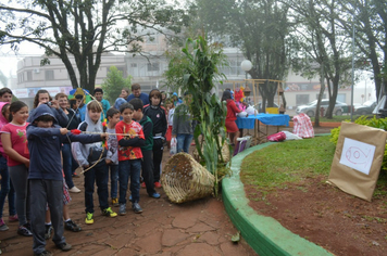 Foto - 3ª Mostra da Agrobiodiversidade