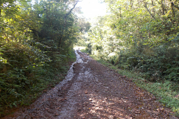 Foto - Danos em estradas, pontes e bueiros