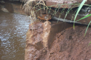 Foto - Danos em estradas, pontes e bueiros