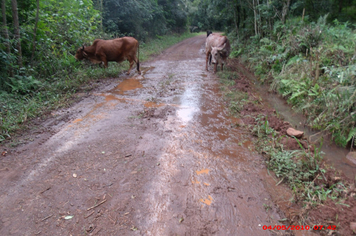 Foto - Danos em estradas, pontes e bueiros