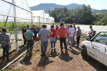 Foto - Dia de Campo sobre produção em ambiente protegido - Feliz/RS