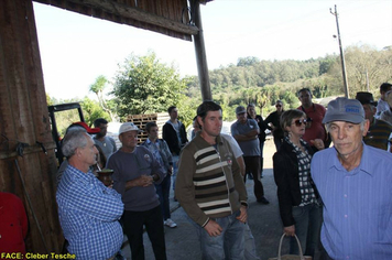 Foto - Dia de Campo sobre produção em ambiente protegido - Feliz/RS