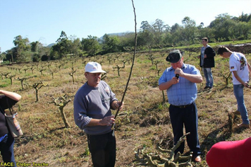 Foto - Dia de Campo sobre produção em ambiente protegido - Feliz/RS