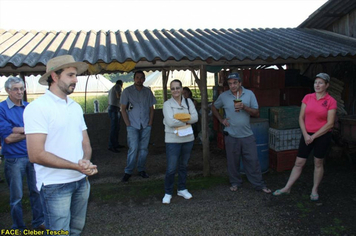 Foto - Dia de Campo sobre produção em ambiente protegido - Feliz/RS