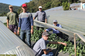 Foto - Dia de Campo sobre produção em ambiente protegido - Feliz/RS