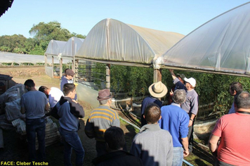 Foto - Dia de Campo sobre produção em ambiente protegido - Feliz/RS