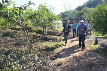 Foto - Dia de Campo sobre produção em ambiente protegido - Feliz/RS