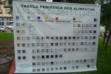 Foto - Feira da Agrobiodiversidade