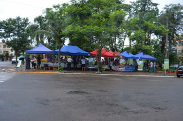 Foto - Feira da Agrobiodiversidade