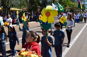 Foto - Fotos : Desfile Cívico 7 de Setembro 2018