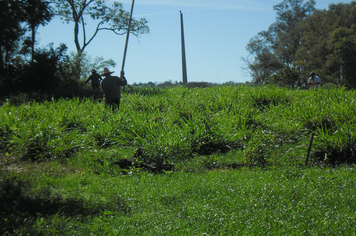 Foto - Projeto Irrigando a Agricultura Familiar em Tenente Portela