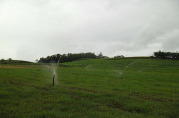 Foto - Projeto Irrigando a Agricultura Familiar em Tenente Portela