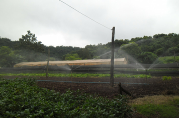 Foto - Projeto Irrigando a Agricultura Familiar em Tenente Portela