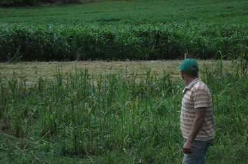 Foto - Projeto Irrigando a Agricultura Familiar em Tenente Portela