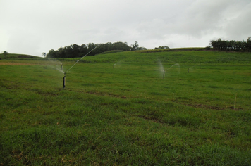 Foto - Projeto Irrigando a Agricultura Familiar em Tenente Portela
