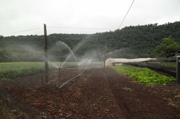 Foto - Projeto Irrigando a Agricultura Familiar em Tenente Portela