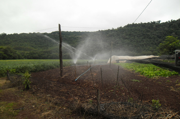 Foto - Projeto Irrigando a Agricultura Familiar em Tenente Portela