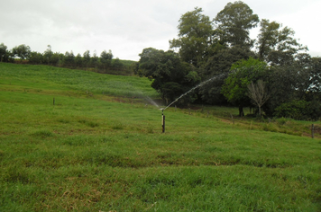 Foto - Projeto Irrigando a Agricultura Familiar em Tenente Portela