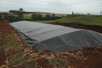 Foto - Projeto Irrigando a Agricultura Familiar em Tenente Portela