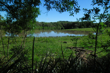 Foto - Projeto Irrigando a Agricultura Familiar em Tenente Portela