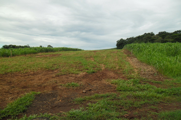 Foto - Projeto Irrigando a Agricultura Familiar em Tenente Portela