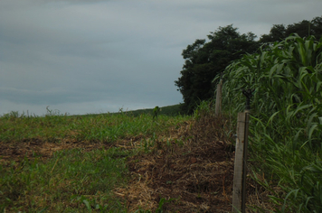 Foto - Projeto Irrigando a Agricultura Familiar em Tenente Portela