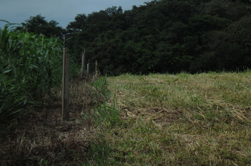 Foto - Projeto Irrigando a Agricultura Familiar em Tenente Portela