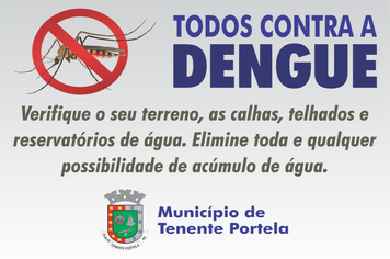 Mais 4 casos de dengue são confirmados em Tenente Portela