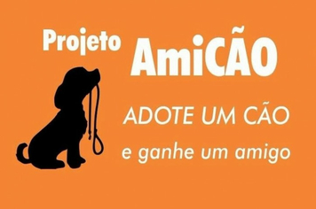 Ong AmiCÃO está sendo fundada em Tenente Portela