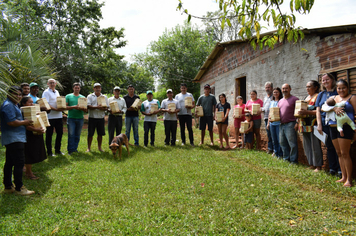 Município apoia projeto para  Criação de Abelhas Sem Ferrão na Comunidade Indígena do Guarita