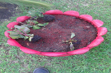 Depredação e furto de flores prejudicam trabalho de jardinagem da SMSU
