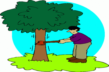 Departamento de Meio Ambiente orienta população a respeito de poda e corte de árvores