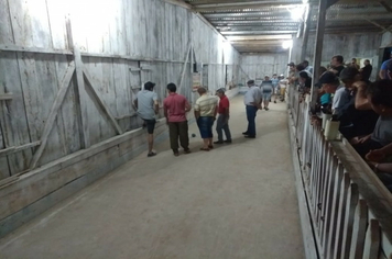 Campeonato Municipal de Bochas, última rodada da segunda fase