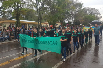 Foto - Desfile Cívico 7 de Setembro 2019