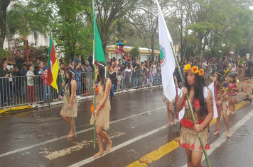 Foto - Desfile Cívico 7 de Setembro 2019