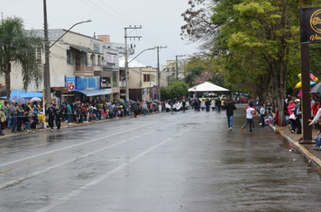 Foto - Desfile Cívico 7 de Setembro 2019