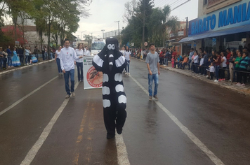 Foto - Desfile Cívico 7 de Setembro 2019