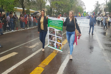 Foto - Desfile Cívico 7 de Setembro 2019