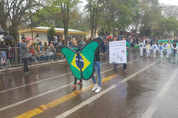Foto - Desfile Cívico 7 de Setembro 2019