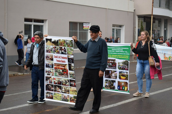 Foto - Desfile Cívico 7 de Setembro 2019
