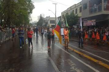 Foto - Desfile Cívico 7 de Setembro 2019