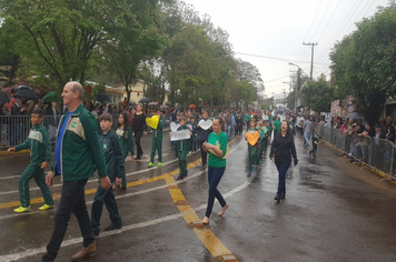 Foto - Desfile Cívico 7 de Setembro 2019