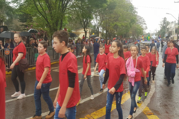 Foto - Desfile Cívico 7 de Setembro 2019