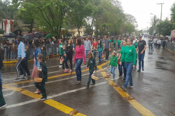 Foto - Desfile Cívico 7 de Setembro 2019