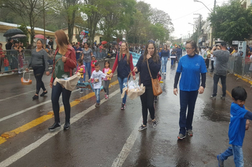 Foto - Desfile Cívico 7 de Setembro 2019