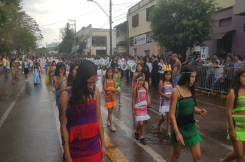 Foto - Desfile Cívico 7 de Setembro 2019