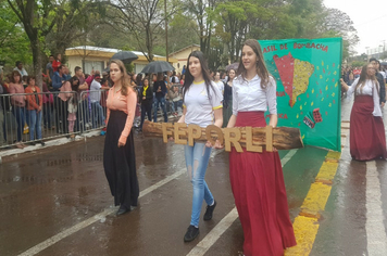 Foto - Desfile Cívico 7 de Setembro 2019